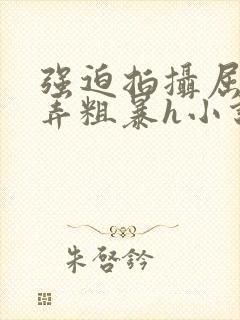 强迫拍摄屈辱玩弄粗暴h小说