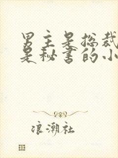 男主是总裁女主是秘书的小说