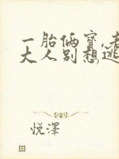 一胎俩宝,老婆大人别想逃1893封面