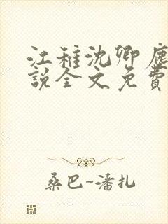 江稚沈卿尘的小说全文免费阅读最新封面