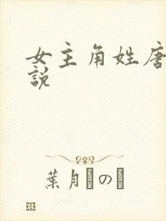 女主角姓唐的小说