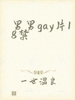 男男gay片18禁封面