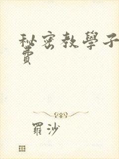 秘密教学子豪免费封面