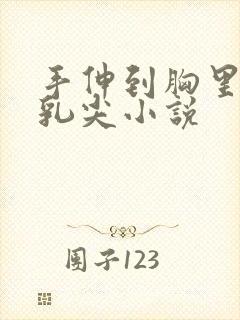 手伸到胸里揉她乳尖小说