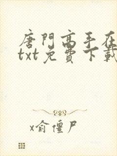 唐门高手在异世txt免费下载
