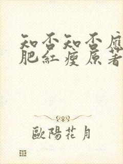知否知否应是绿肥红瘦原著小说是什么封面