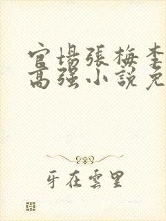 官场张梅李明哲高强小说免费阅读