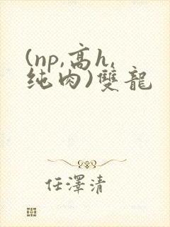 (np,高h,纯肉)双龙