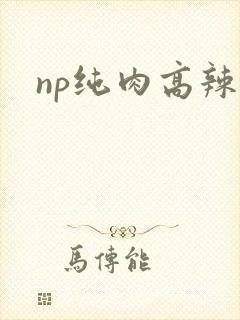 np纯肉高辣文