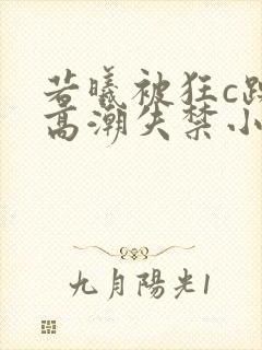 若曦被狂c躁到高潮失禁小说