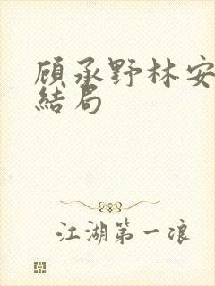 顾承野林安若大结局封面
