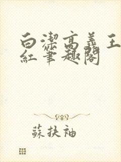 白洁高义王申美红笔趣阁封面