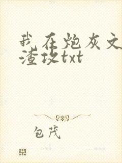我在炮灰文里当渣攻txt