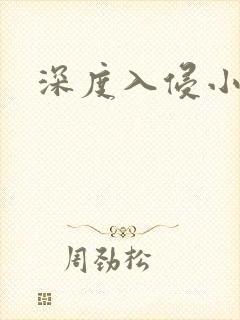 深度入侵小说