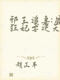 邪王追妻:废材狂妃要逆天
