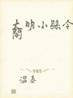 大明小县令笔趣阁