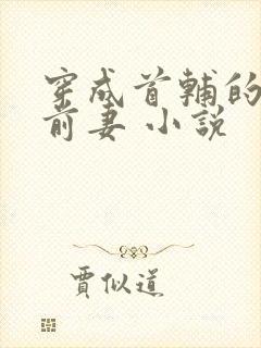 穿成首辅的炮灰前妻 小说
