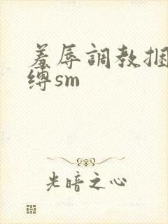 羞辱调教捆绑束缚sm封面