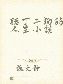 听丁二狗的肆意人生小说