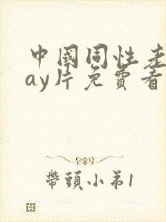 中国同性老头gay片免费看