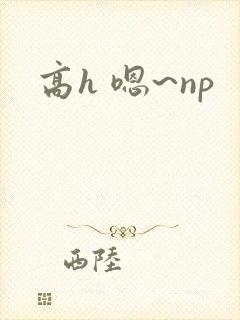 高h 嗯~np