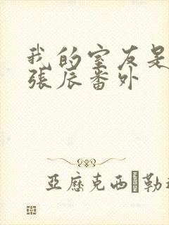 我的室友是直男张辰番外