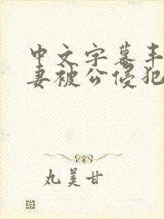 中文字幕丰满人妻被公侵犯