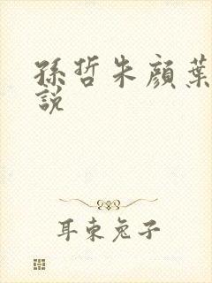 孙哲朱颜叶巧小说
