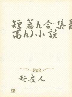 短篇h合集乱(高h)小说