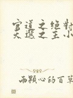 官道之绝对权力天选之主小说全本txt