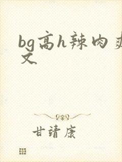 bg高h辣肉爽文