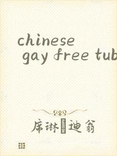 chinese gay free tube封面