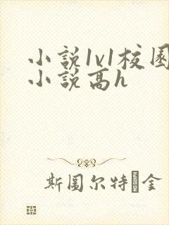 小说1v1校园小说高h