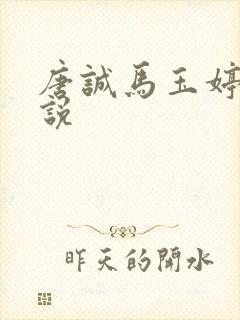 唐诚马玉婷的小说