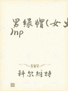 男绿帽(女出轨)np