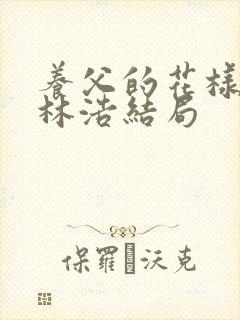 养父的花样年华林浩结局