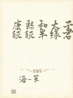 康熙和太子妃沈皎皎半缘君封面