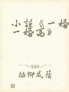 小说《一婚更比一婚高》