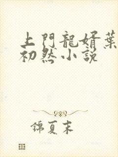 上门龙婿叶辰萧初然小说