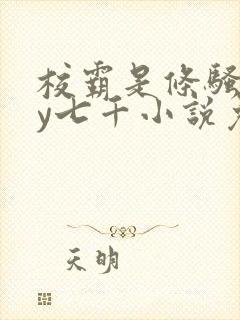 校霸是条骚狗by七千小说免费阅读