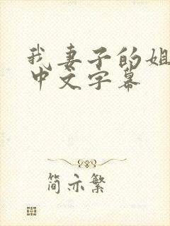 我妻子的姐姐3中文字幕封面