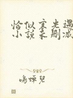 恰似寒光遇骄阳小说未删减完整版封面