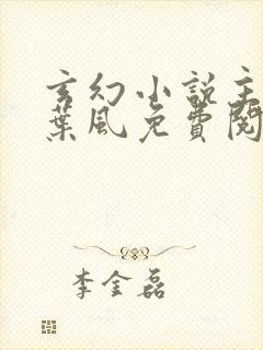 玄幻小说主人公叶风免费阅读
