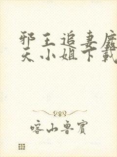 邪王追妻废材逆天小姐下载txt封面