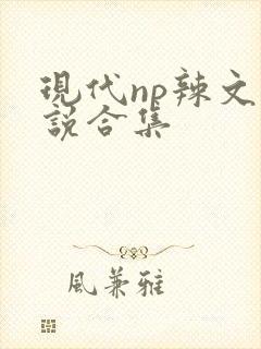 现代np辣文小说合集