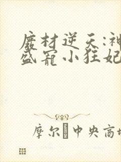 废材逆天:神君盛宠小狂妃