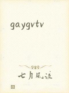 gaygvtv封面