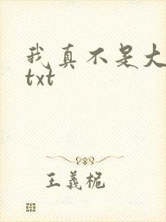 我真不是大佬 txt