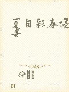 夏目彩春侵犯人妻封面