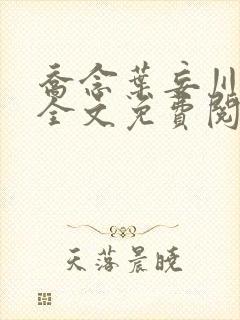 乔念叶妄川正版全文免费阅读